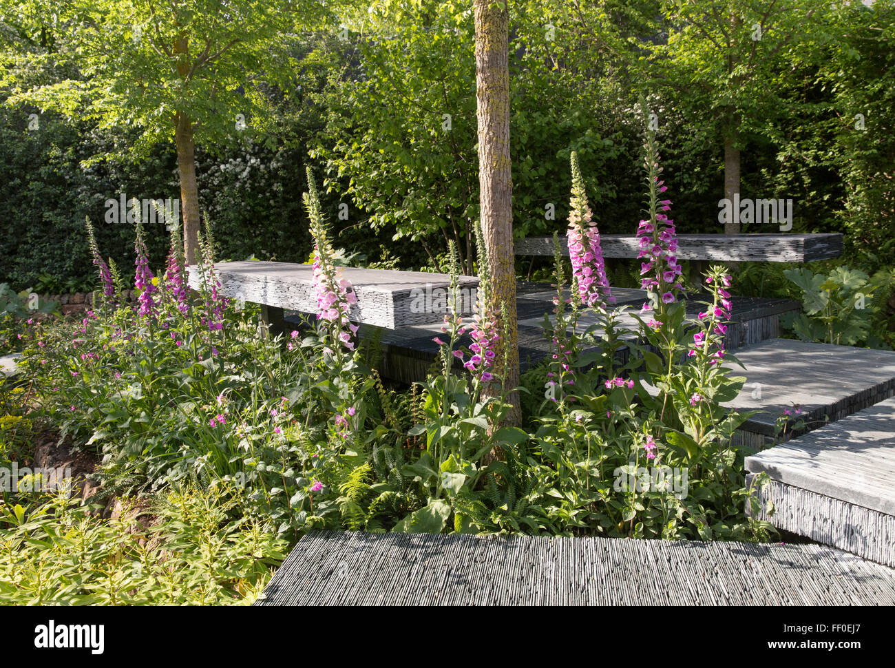 L'Brewin Dolphin Jardin - Banc de jardin en ardoise, - common Foxglove - Designer Darren Hawkes Banque D'Images