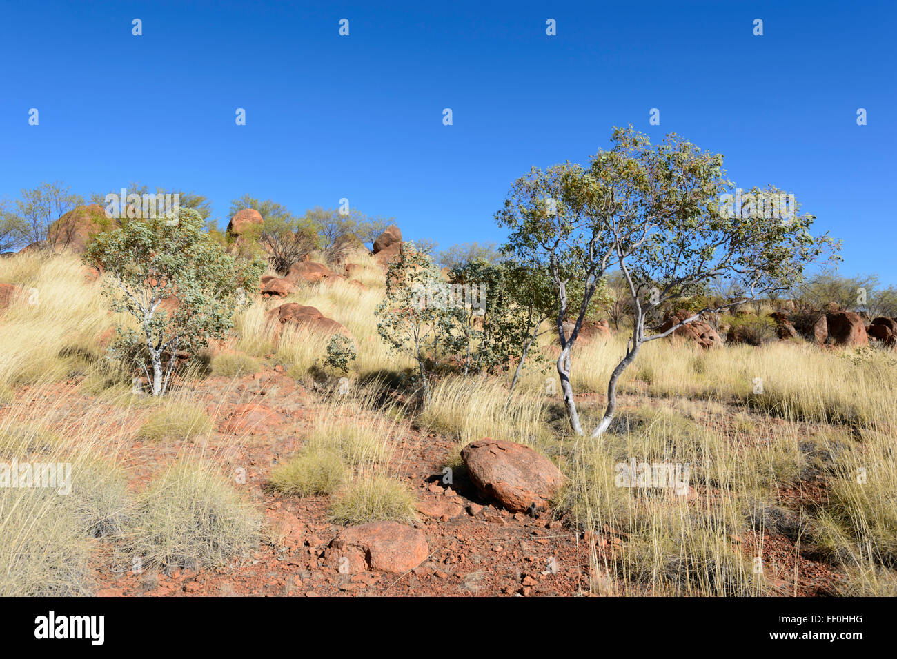 Les cailloux, Territoire du Nord, Australie Banque D'Images