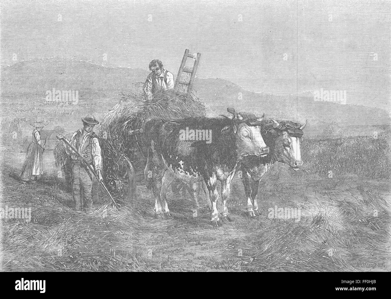 Suisse La fenaison en Suisse 1857. Illustrated London News Banque D'Images