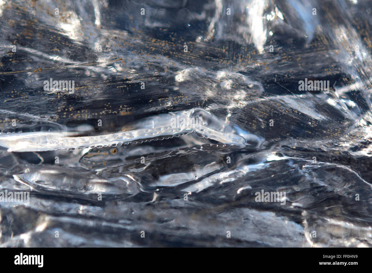 Résumé des cristaux de glace, macro Banque D'Images