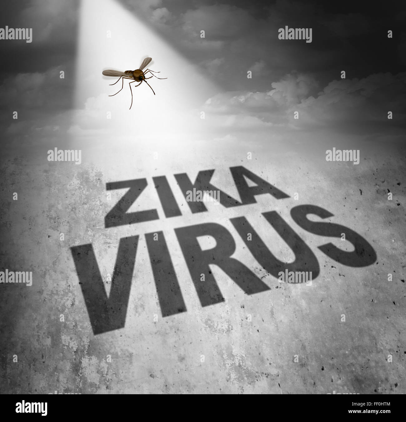 Virus Zika symbole de risque comme l'ombre d'un moustique porteur de la maladie faisant texte qui représente le danger de transmettre une infection par le biais de piqûres résultant en une fièvre zika. Banque D'Images