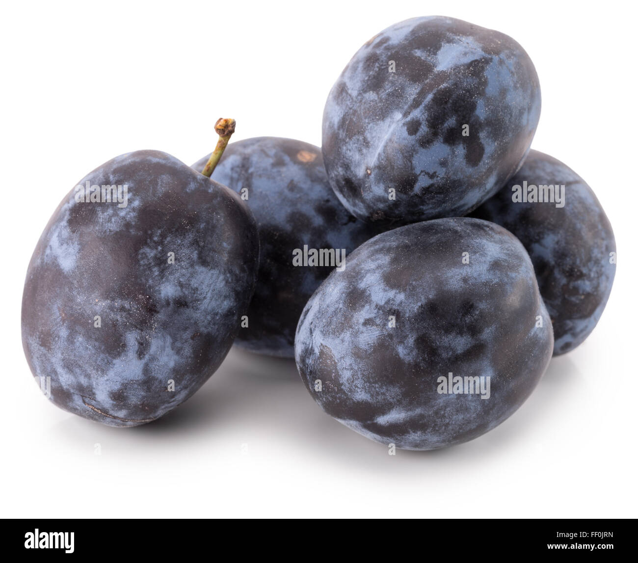 Les prunes isolé sur le fond blanc. Banque D'Images