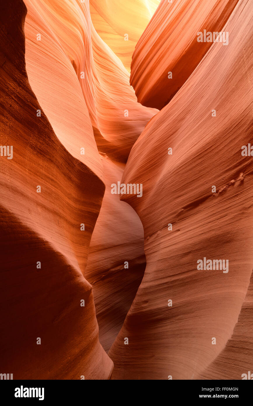 Grès rouge, Rock Formation, Lower Antelope Slot Canyon ou tire-bouchon Canyon, Page, Navajo Nation, Arizona, USA Banque D'Images
