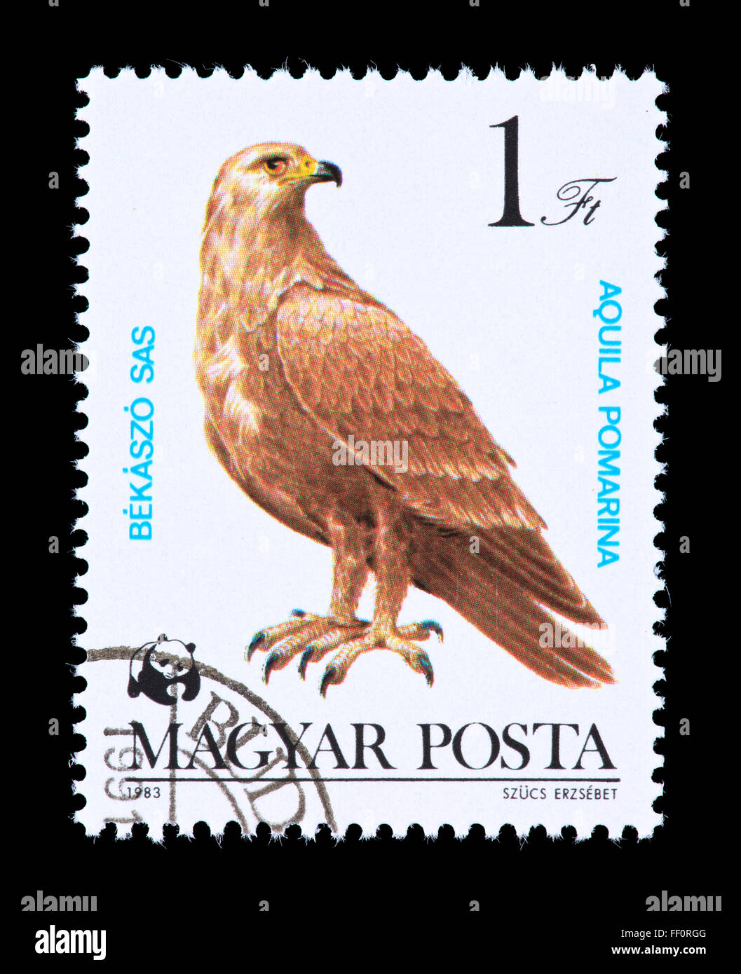 Timbre-poste de Hongrie représentant un aigle pomarin (Aquila) polmarina Banque D'Images