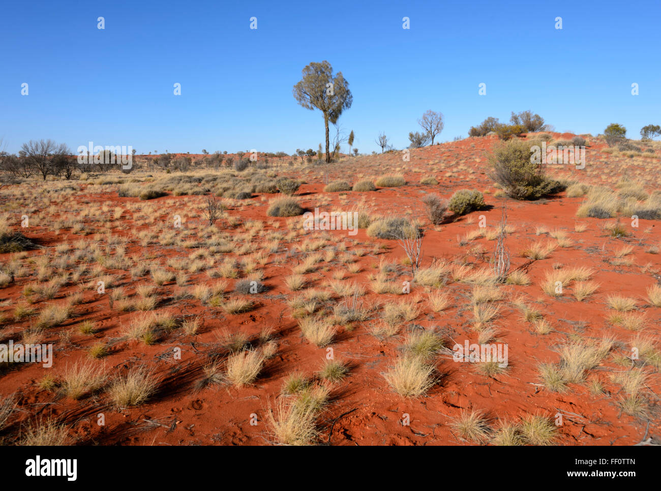Outback près d'Alice Springs, Territoire du Nord, Australie Banque D'Images