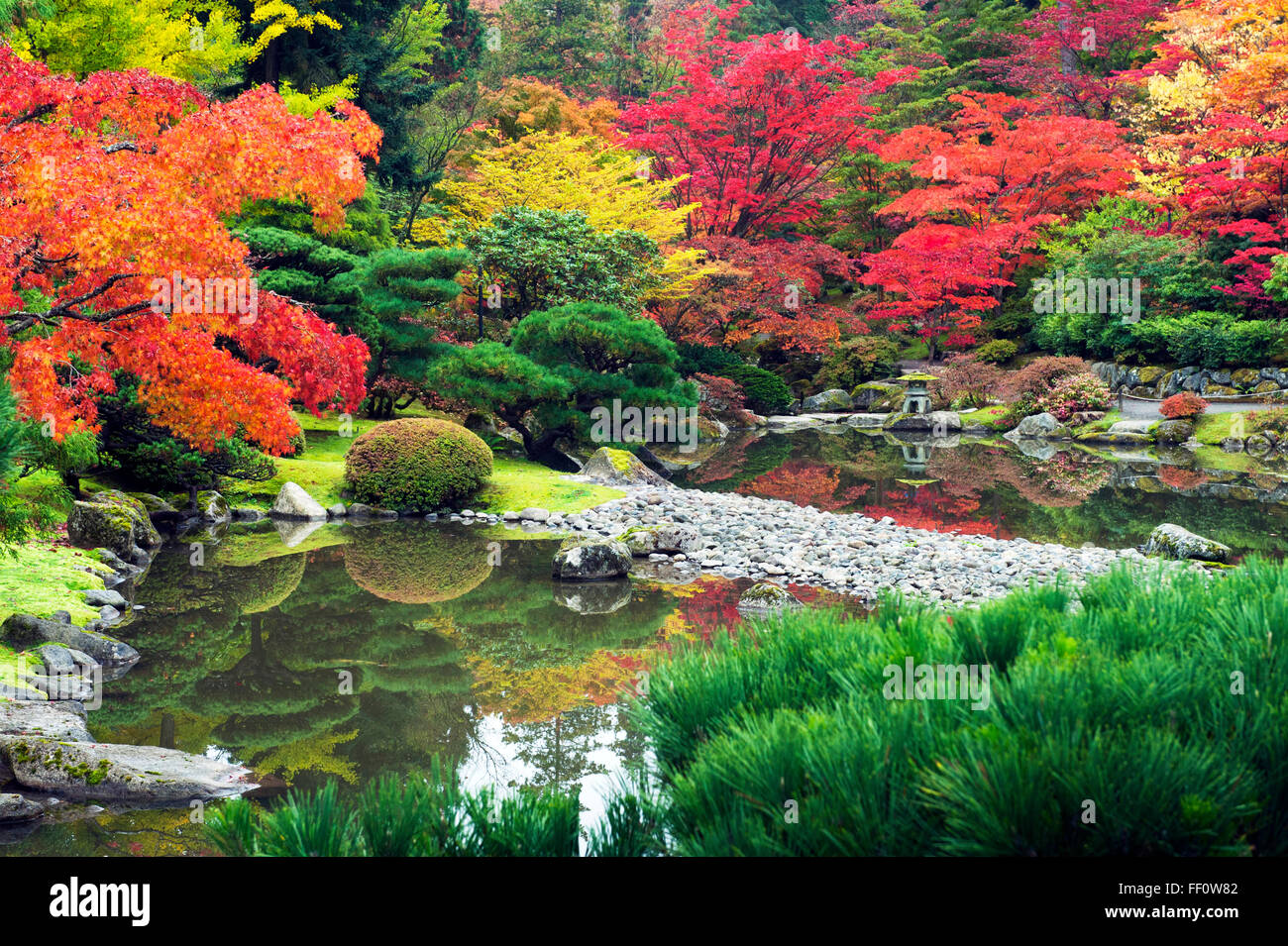 Les étangs encore dans le jardin japonais Banque D'Images