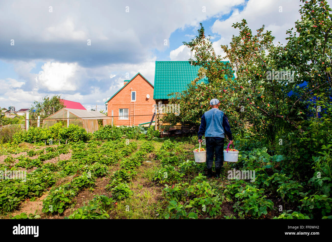 Caucasian farmer working in garden Banque D'Images