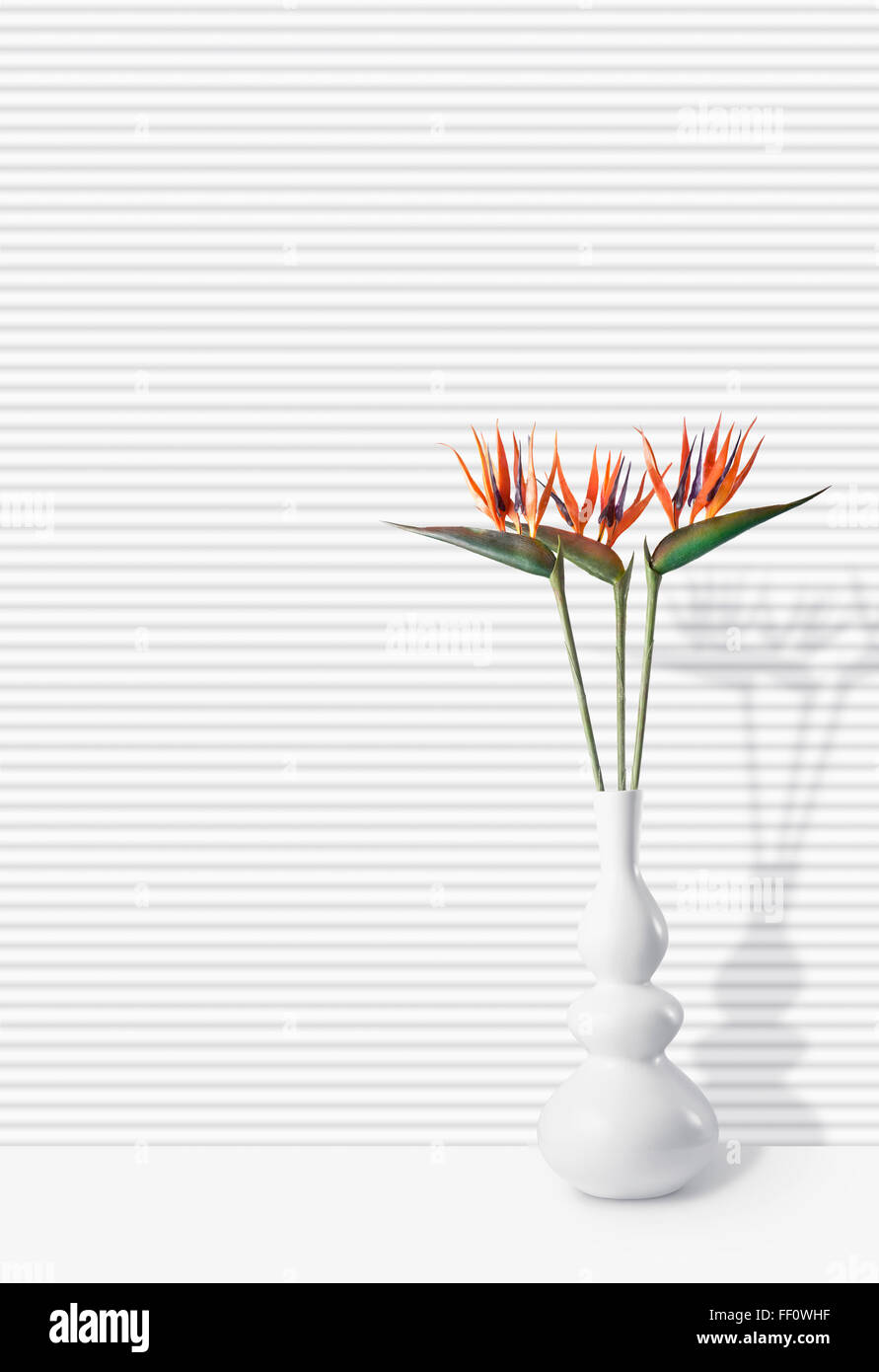 En fleurs fleurs dans vase moderne Banque D'Images