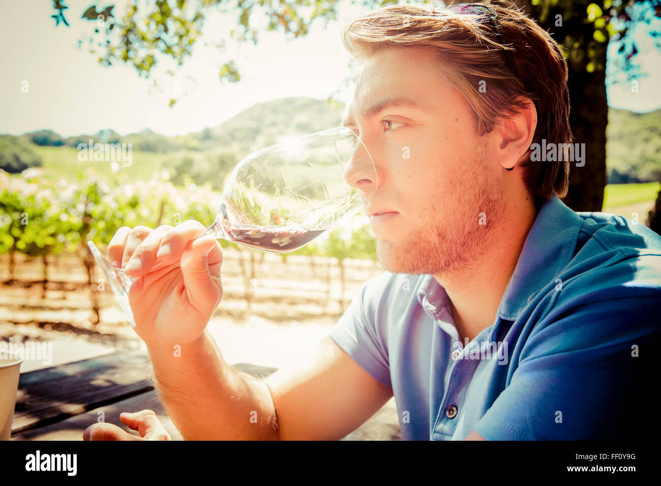 Caucasian man smelling wine in vineyard Banque D'Images