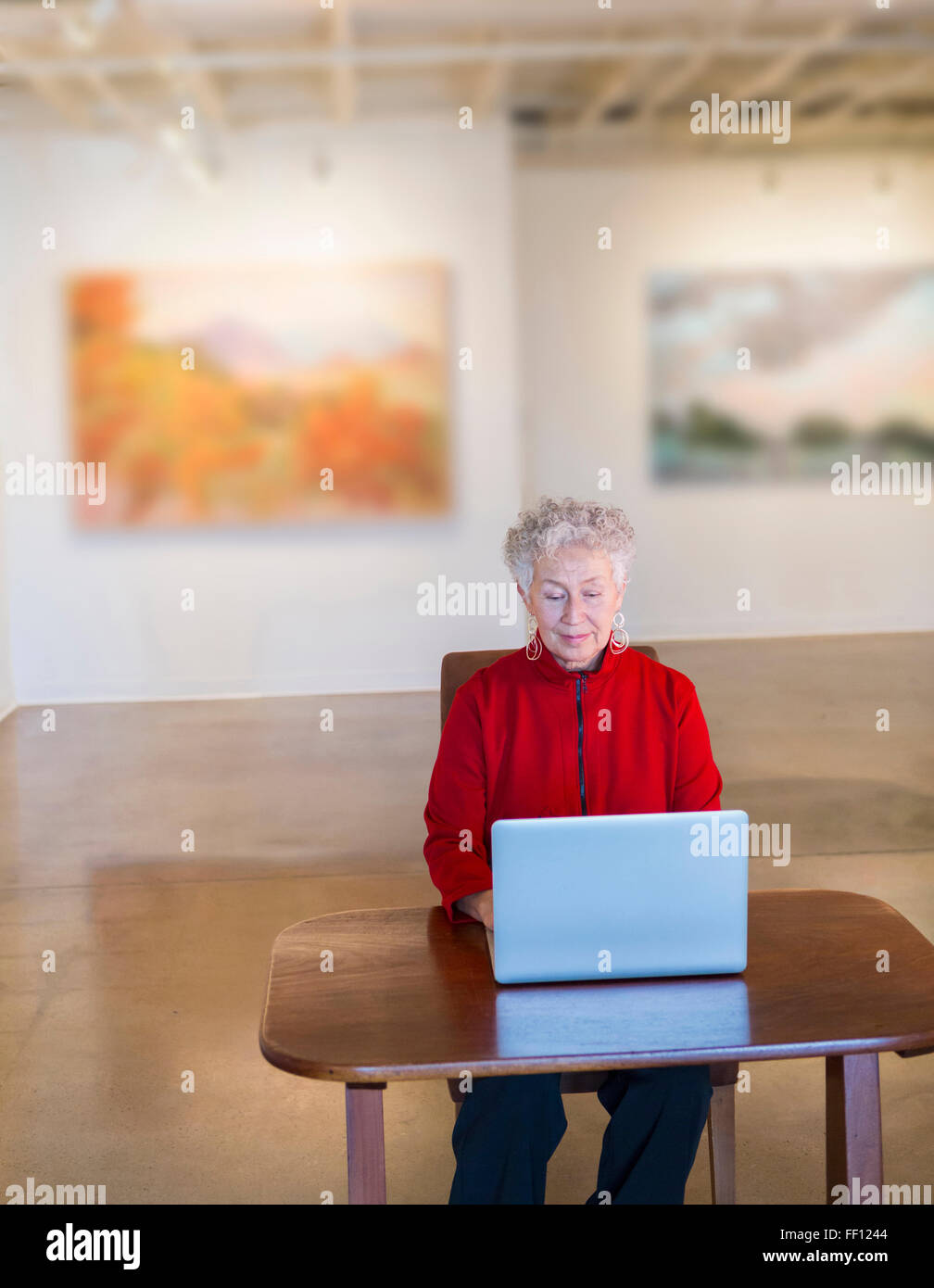 Plus mixed race woman using laptop in art gallery Banque D'Images