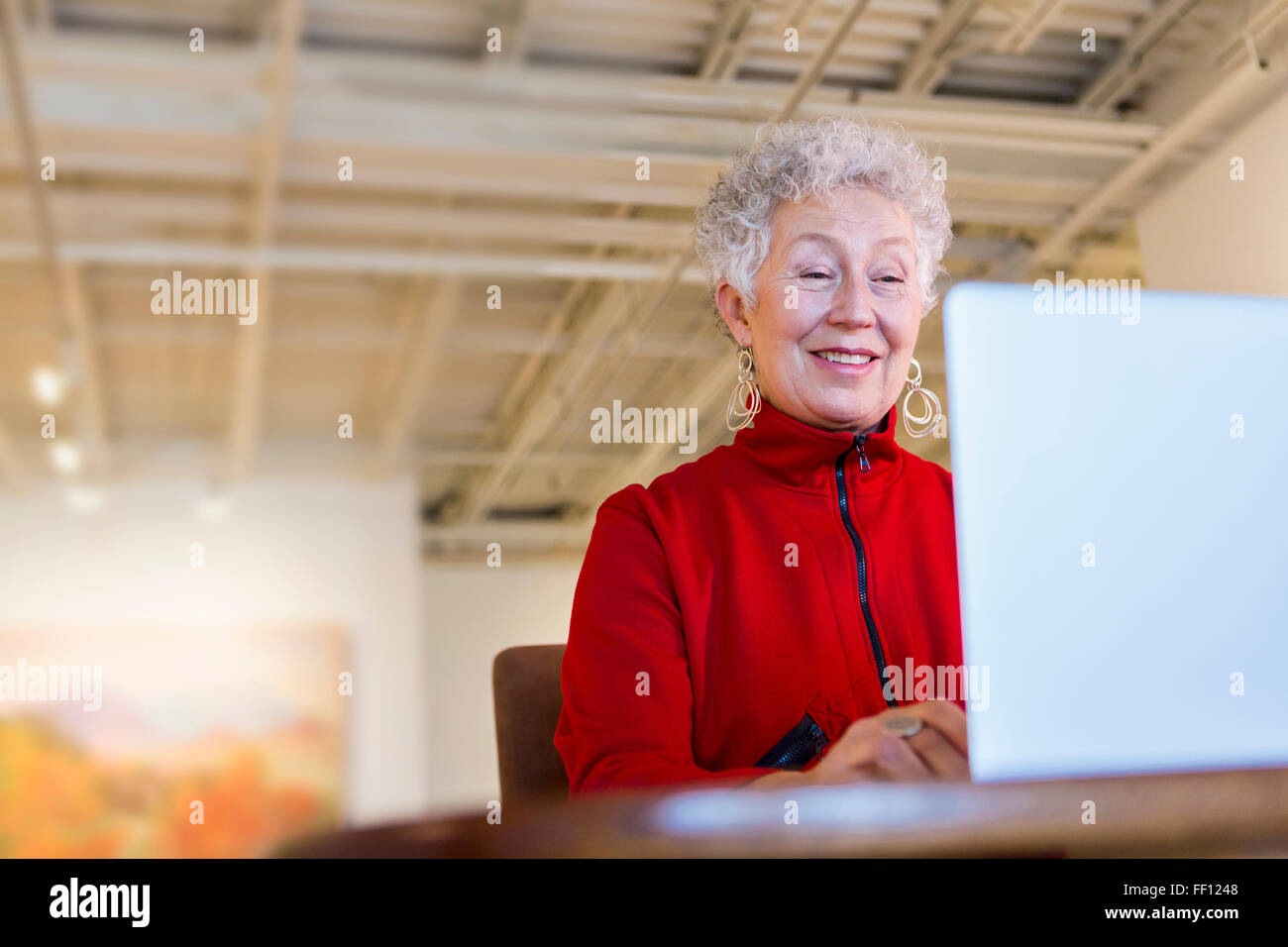 Plus mixed race woman using laptop in art gallery Banque D'Images