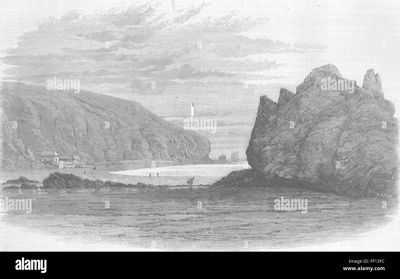 Grotte de Nouvelle-zélande, rock Port Lyttelton 1864. Illustrated London News Banque D'Images