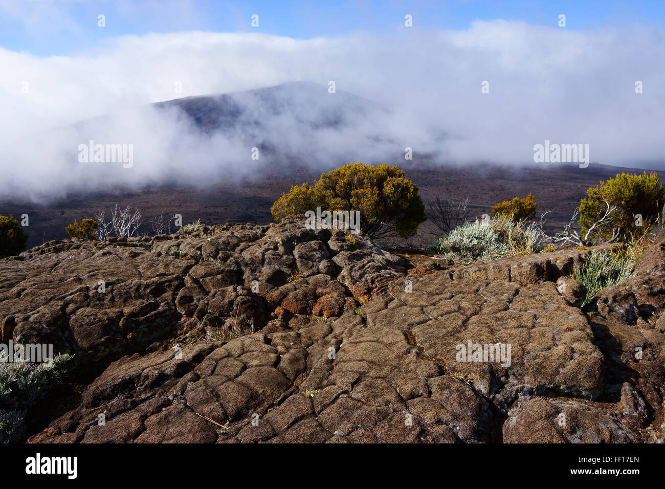 La pierre de lave et de la végétation sur les bord du cratère du volcan Piton de fournaise, île de La Réunion, France Banque D'Images