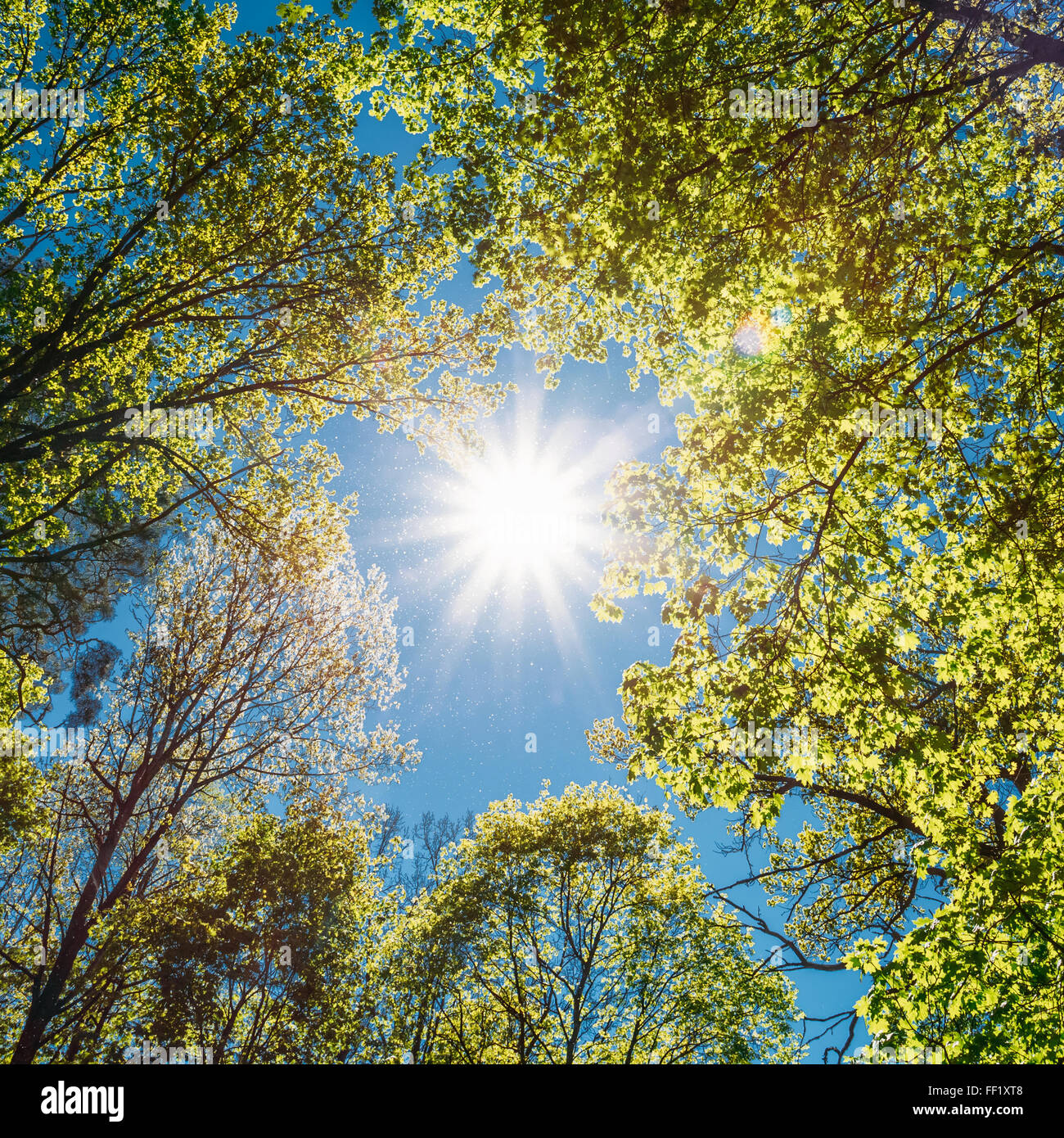 Soleil D t Banque De Photographies Et D images Haute R solution Alamy Soleil D t Banque De Photographies Et D images Haute R solution Alamy