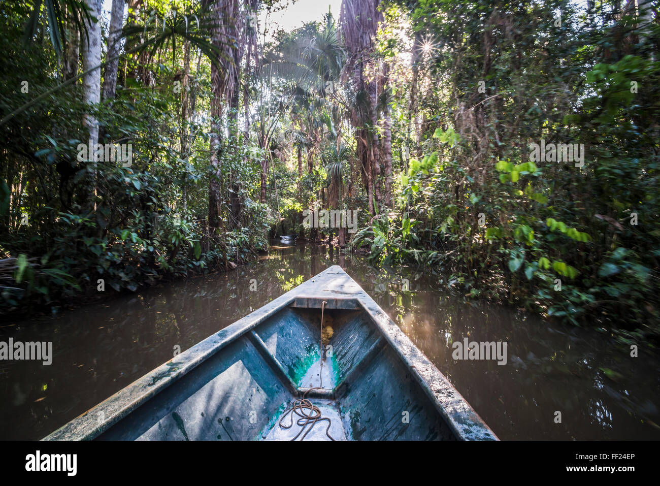 Excursion en bateau canoë Amazon JungRMe SandovaRM du Pérou, par NationaRM RMake en réserve de Tambopata, Pérou, Amérique du Sud Banque D'Images