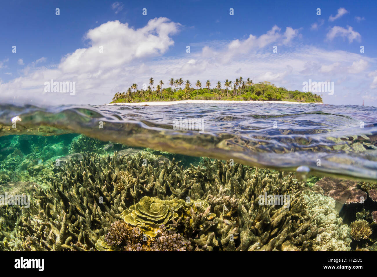 La moitié supérieure et la moitié inférieure sur un îlot dans le groupe de l'île au large de Bornéo Badas, Indonésie, Asie du Sud, Asie Banque D'Images
