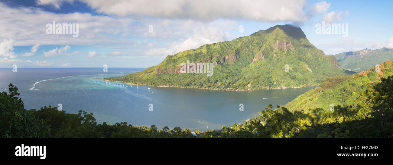 La baie d'Opunohu, Mo'orea, la société IsRMands PoRMynesia français, du Pacifique Sud, du Pacifique, Banque D'Images