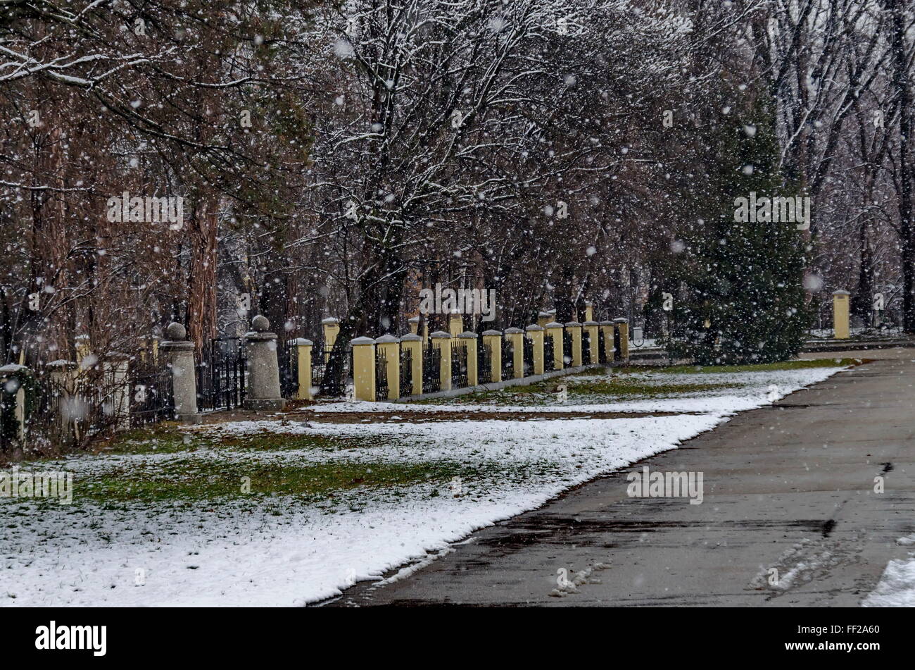 Neige dans le jardin à l'hiver, Sofia Bulgarie Banque D'Images