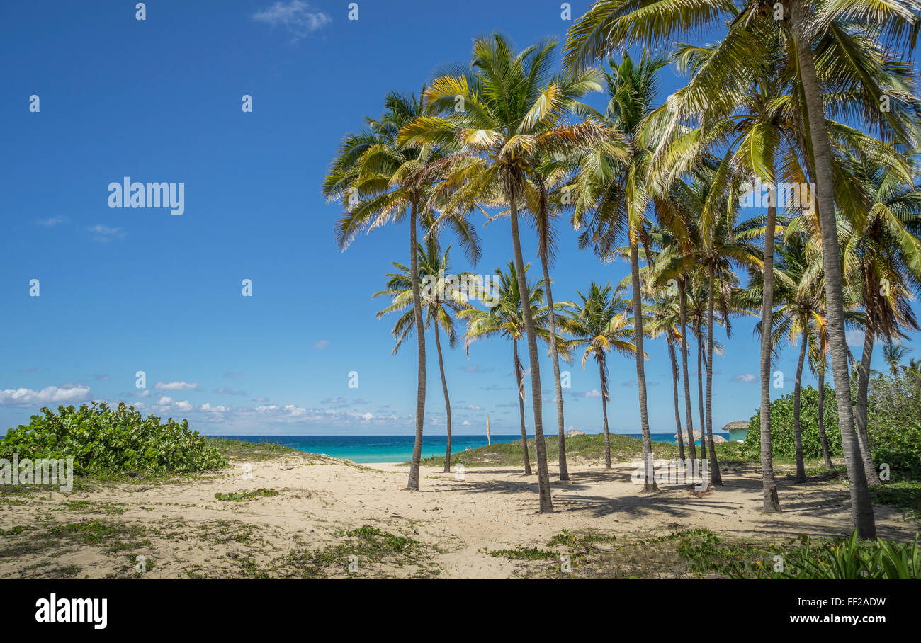 Playa De L'Este, La Havane, Cuba, Antilles, Caraïbes, Amérique Centrale Banque D'Images