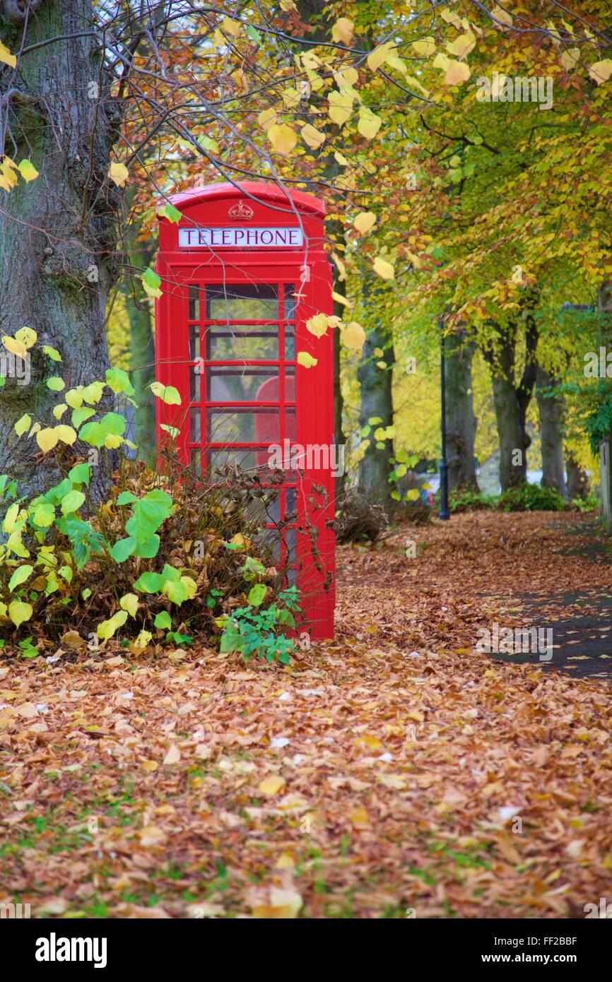 Boîte de téléphone rouge en automne, Teversal Village, Nottinghamshire, Angleterre, Royaume-Uni, Europe Banque D'Images