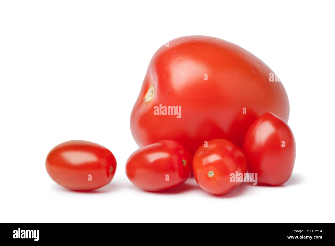 Mini frais tomates et un grand un sur fond blanc Banque D'Images