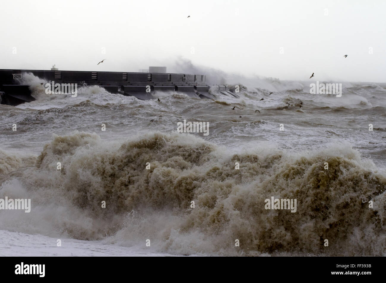 Storm Imogen rend les côtes de Provence. Février 2016 Banque D'Images