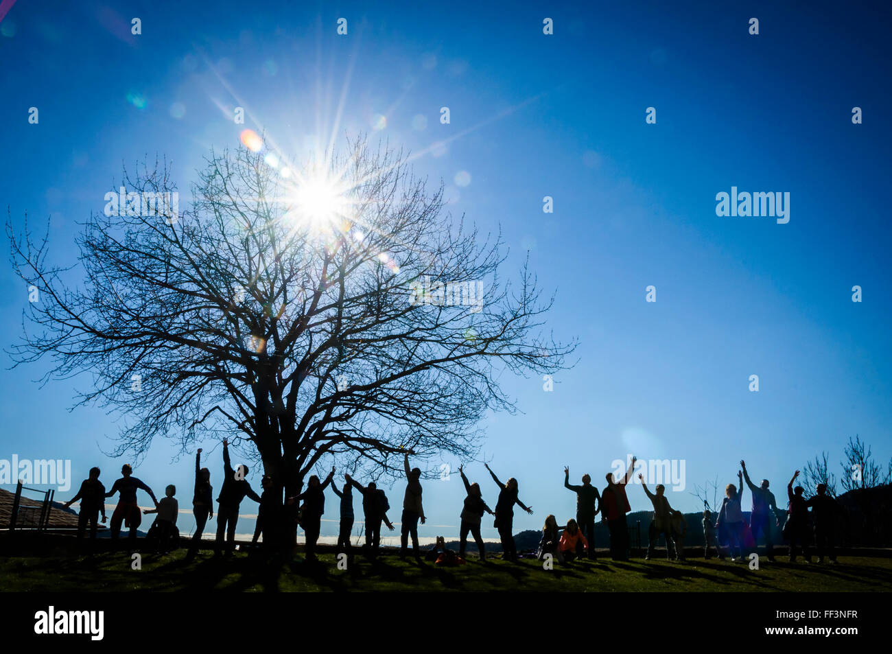 Rétro-éclairage d'un groupe de personnes sous un arbre monumental Banque D'Images