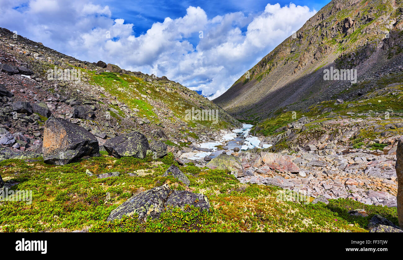 Ruisseau de montagne Source . Paysage de montagne d'été . La Sibérie orientale Banque D'Images