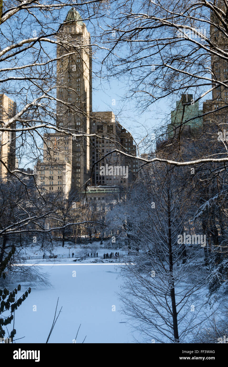 Les arbres de Central Park en pleine tempête, NYC, USA Banque D'Images