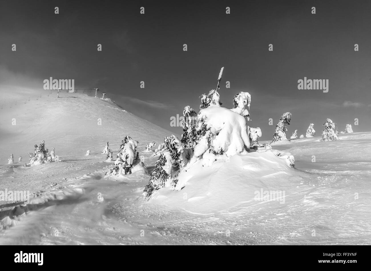 Paysage d'hiver. Lever du soleil dans les montagnes. Beau Monde. Scène de Noël. Carpates, l'Ukraine, l'Europe. Banque D'Images