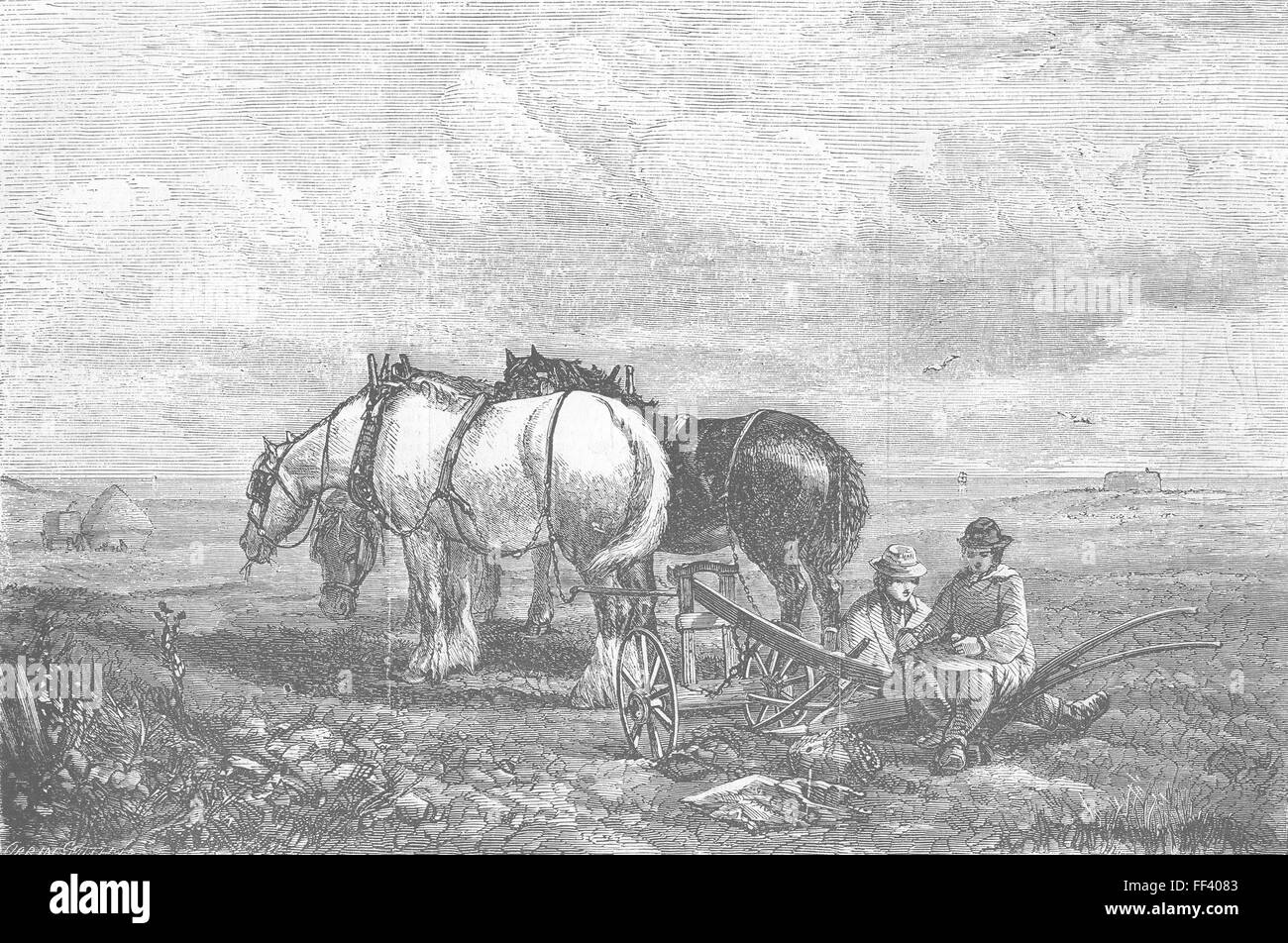 Exposition d'Art de chevaux de déjeuner 1856. Illustrated London News Banque D'Images