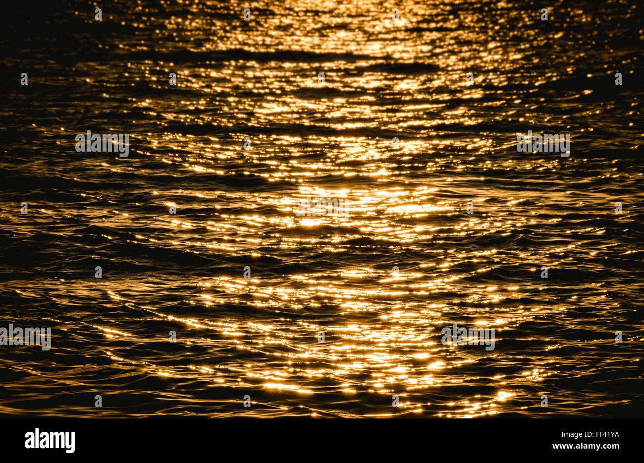 Vague sur la mer jaune à l'heure du coucher du soleil Banque D'Images