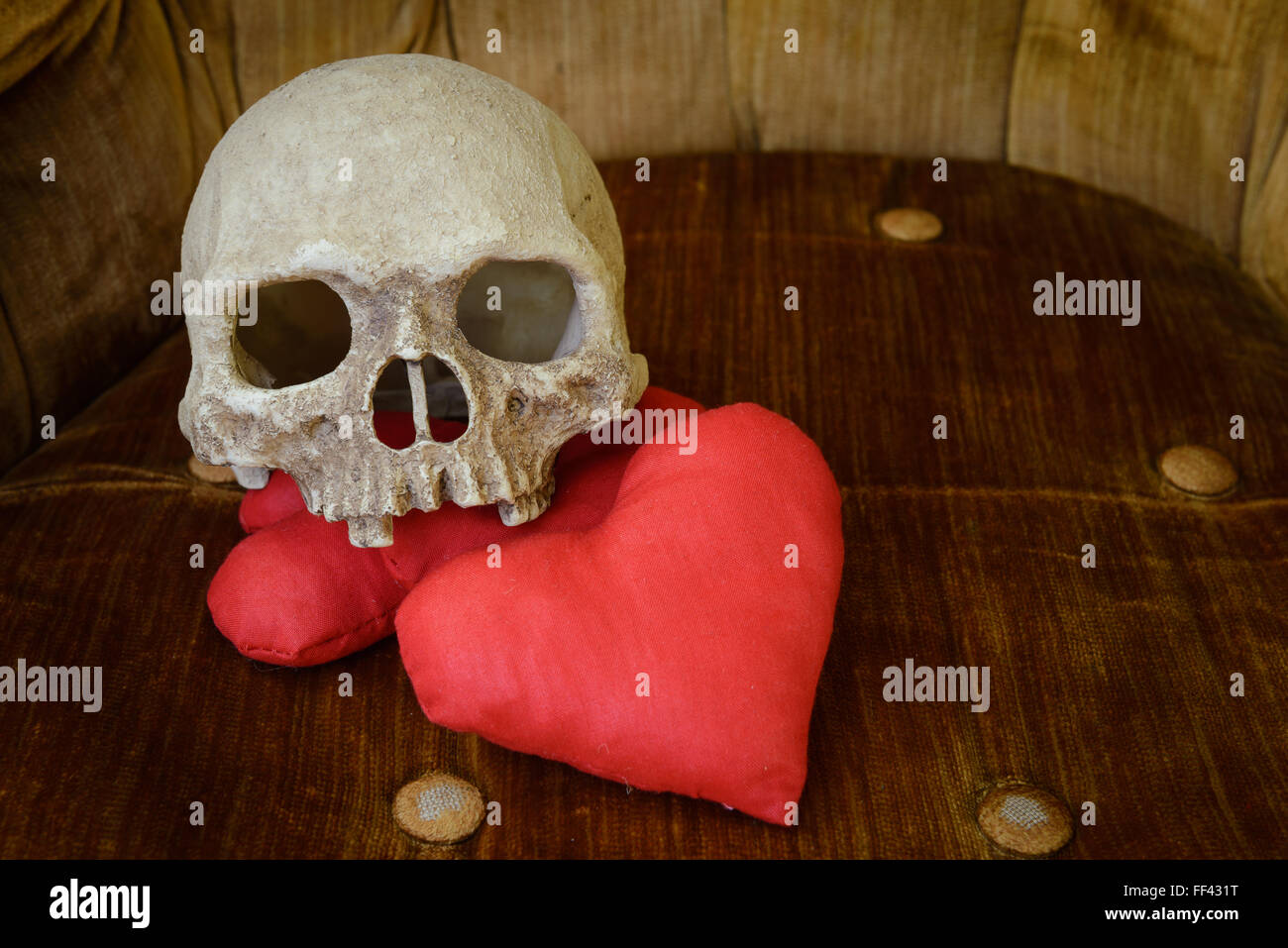 Crâne humain sur cœur rouge, thème vlentine Banque D'Images