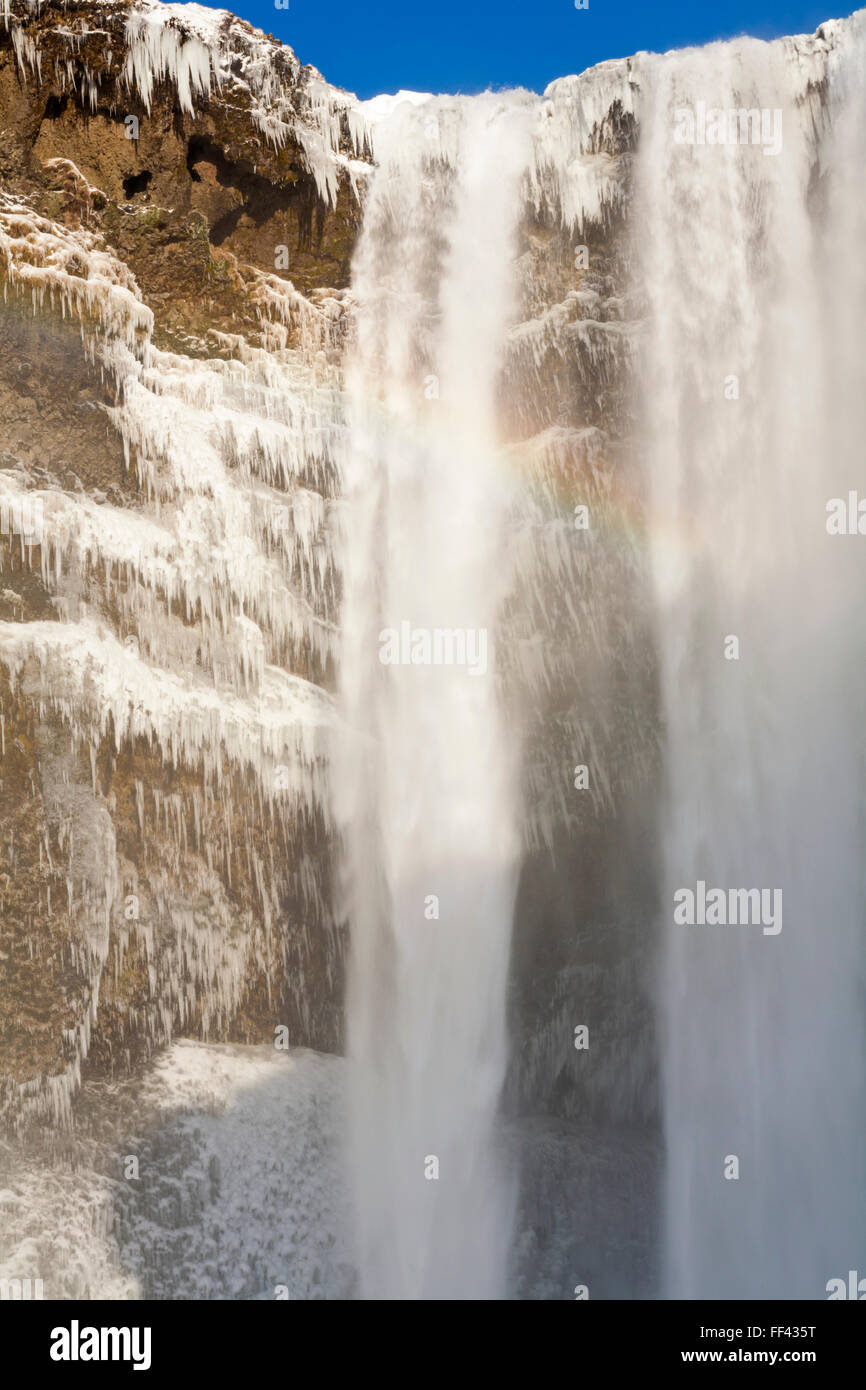 Chute d'eau de Skogafoss, Islande du Sud en janvier avec des icules congelés Banque D'Images