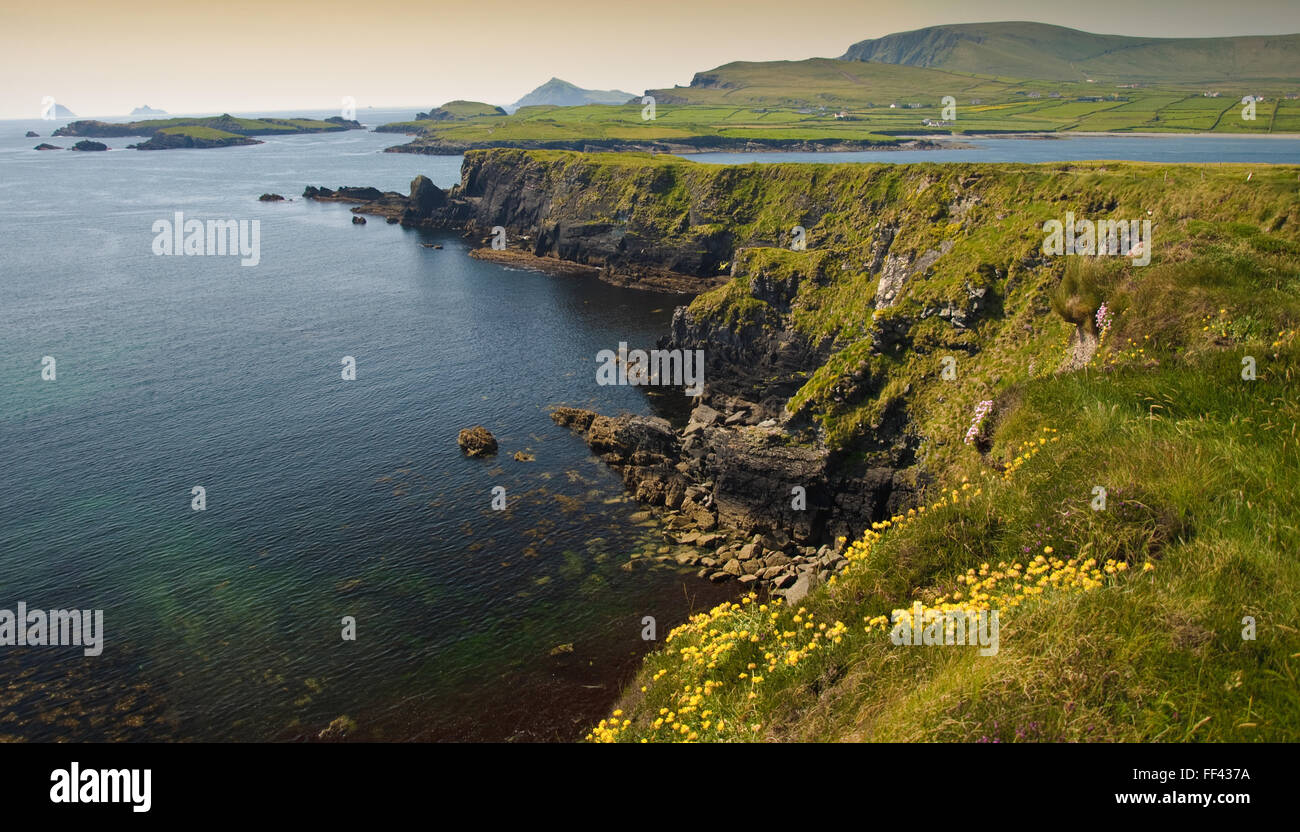 Photo panoramique magnifique paysage rural de l'anneau Kerry Irlande Banque D'Images