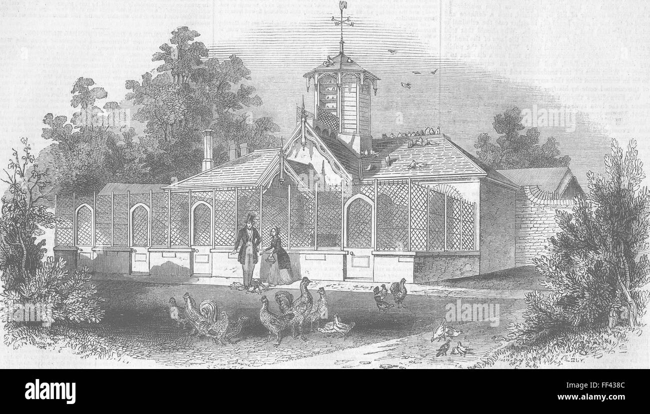 BERKS Imprimeur de la volaille, de Windsor House, home park 1843. Illustrated London News Banque D'Images