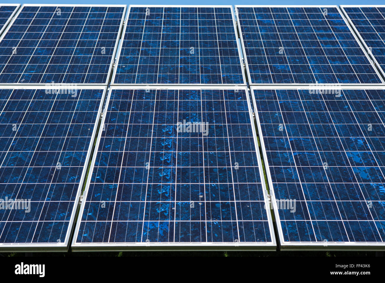 Des rangées de panneaux solaires photovoltaïques dans un champ pour la production d'électricité. L'énergie renouvelable à Wadebridge, Cornwall, UK. Banque D'Images