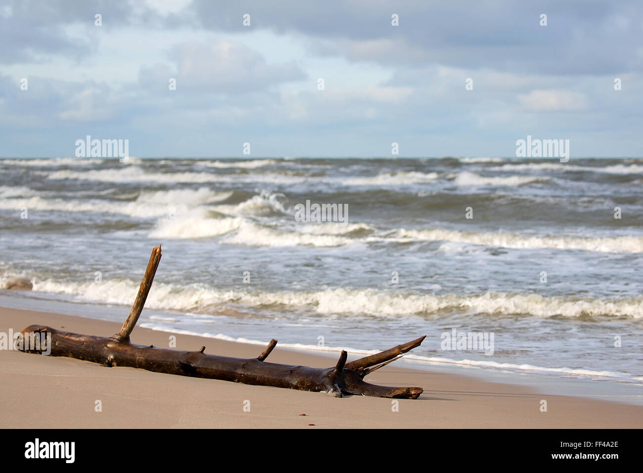 Seascape dans une tempête Banque D'Images