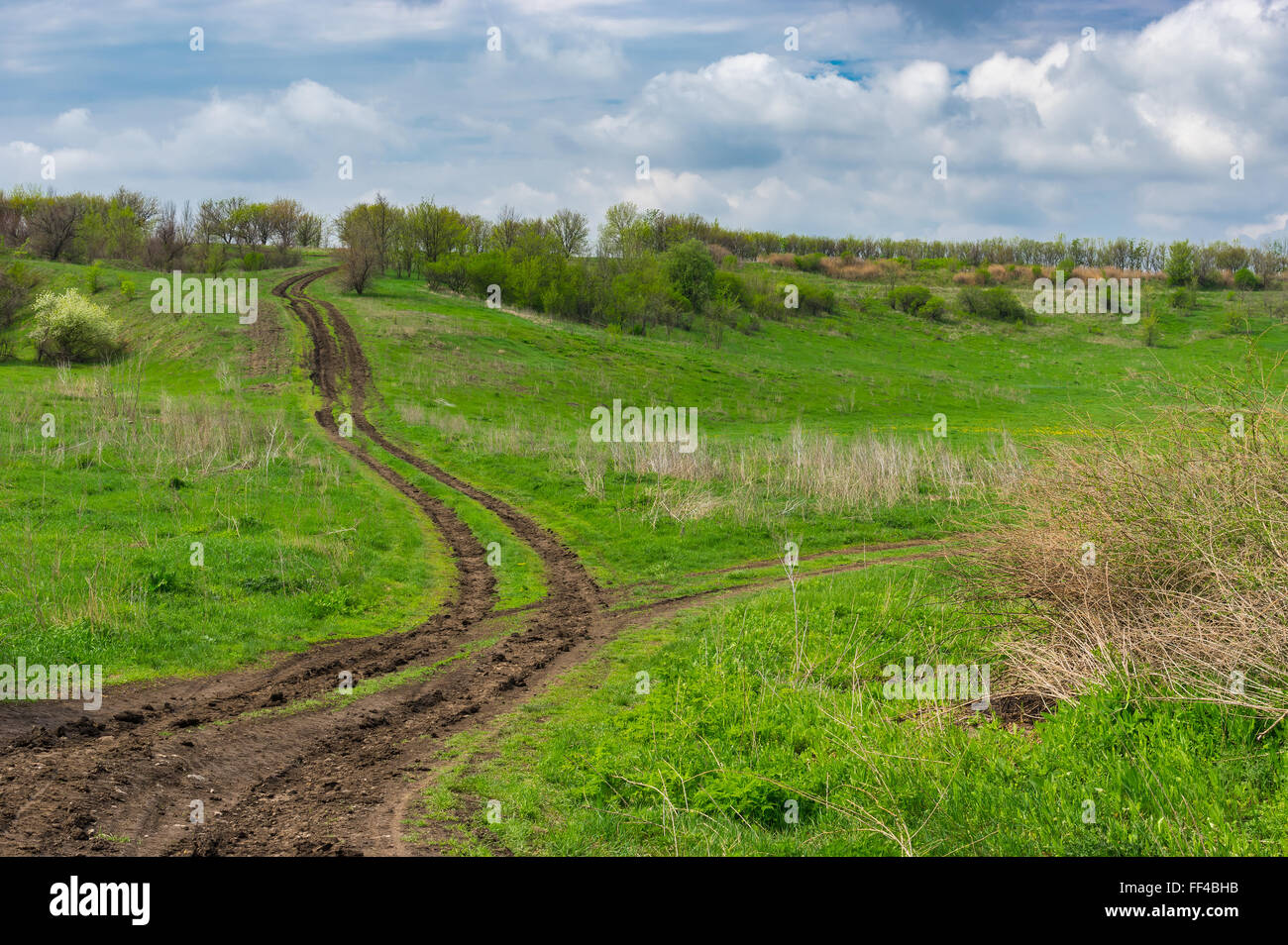 Route de campagne fourchue au printemps, centre de l'Ukraine Banque D'Images