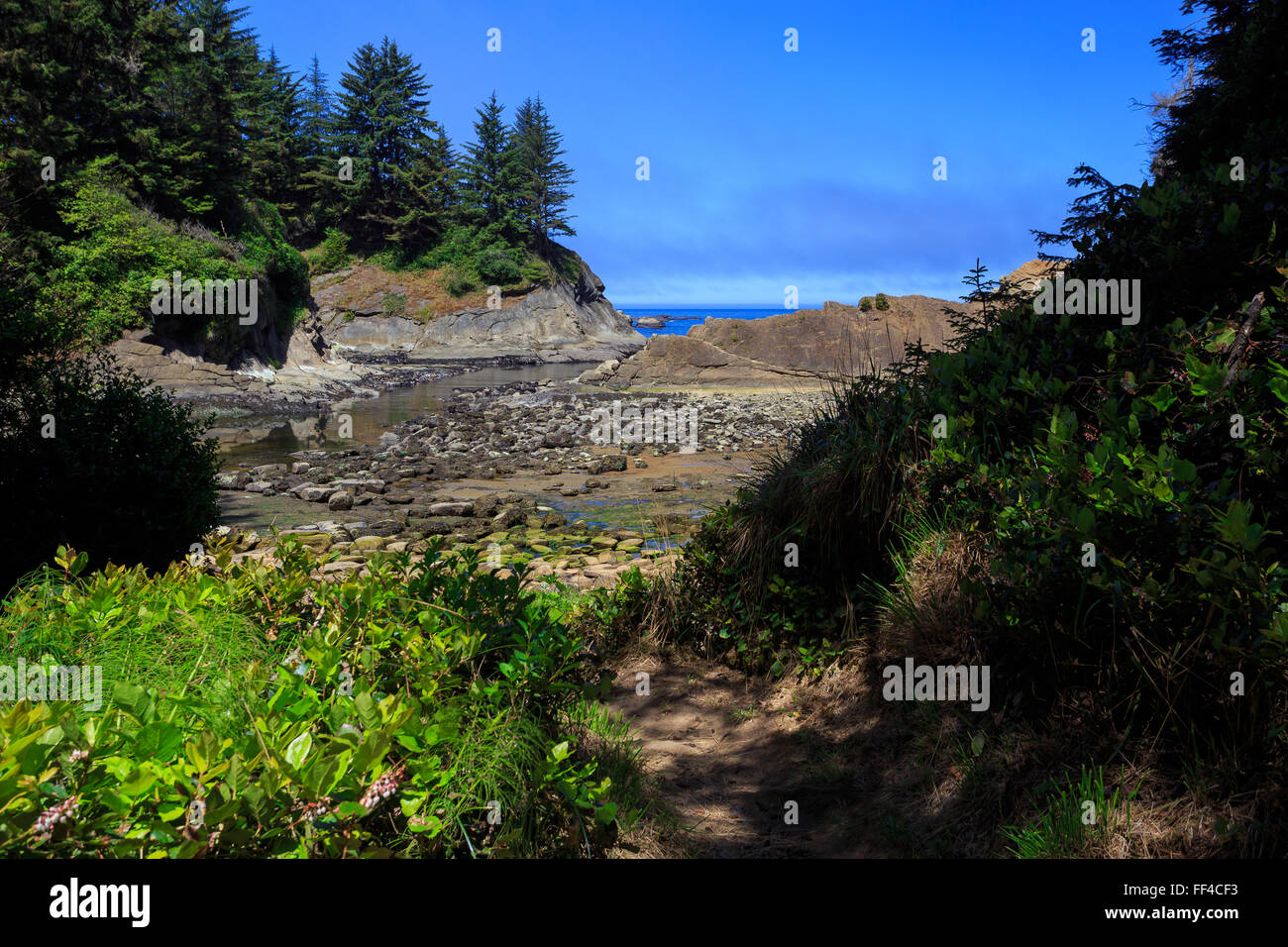 Sunset Bay State Park situé sur la côte de l'Oregon près de Coos Bay. Banque D'Images