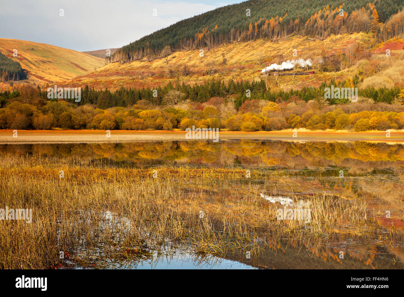 Un train à vapeur sur les Brecon Mountain Railway, qui se reflète dans les eaux du réservoir de Pontsticill, automne. Banque D'Images