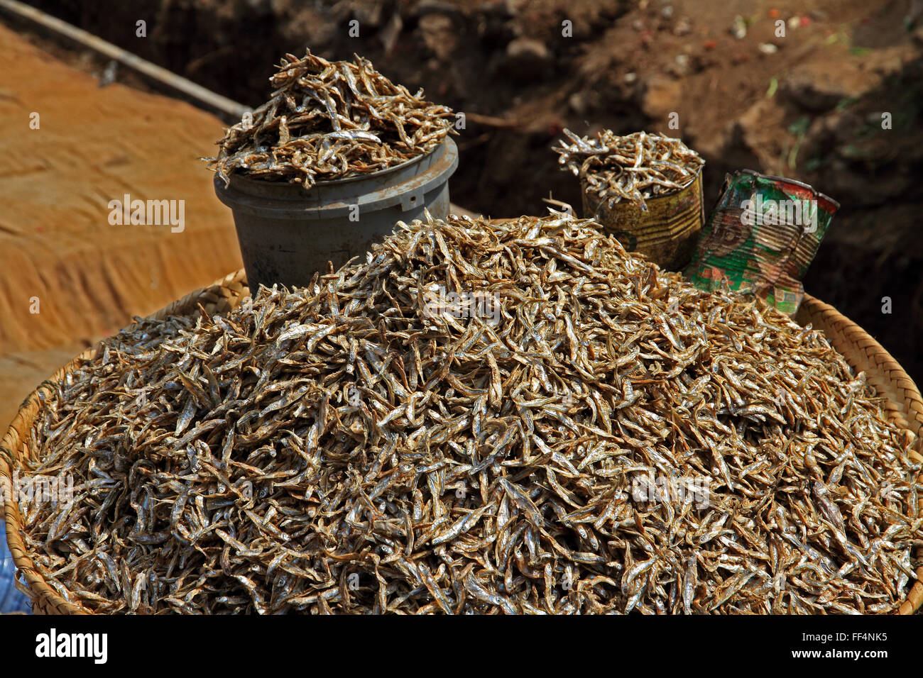 Une pile de sardines séchées à la vente sur la rue. Banque D'Images