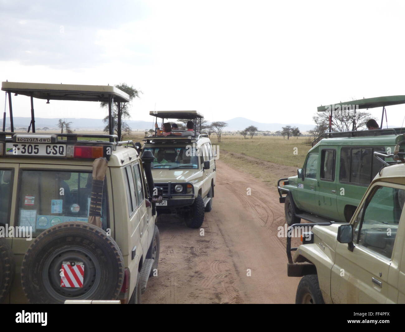 Jeep safari un bourrage dans le parc national du Serengeti en Tanzanie du Sud photo de jen lombardo Banque D'Images