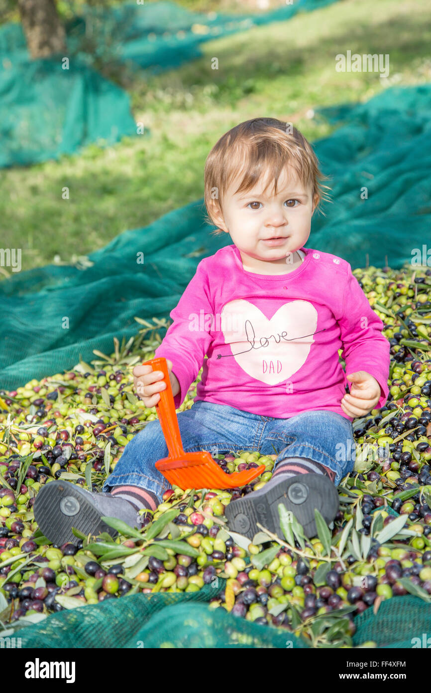 Un an baby girl pendant la récolte saisonnière d'huile olives, assis sur une pile Banque D'Images