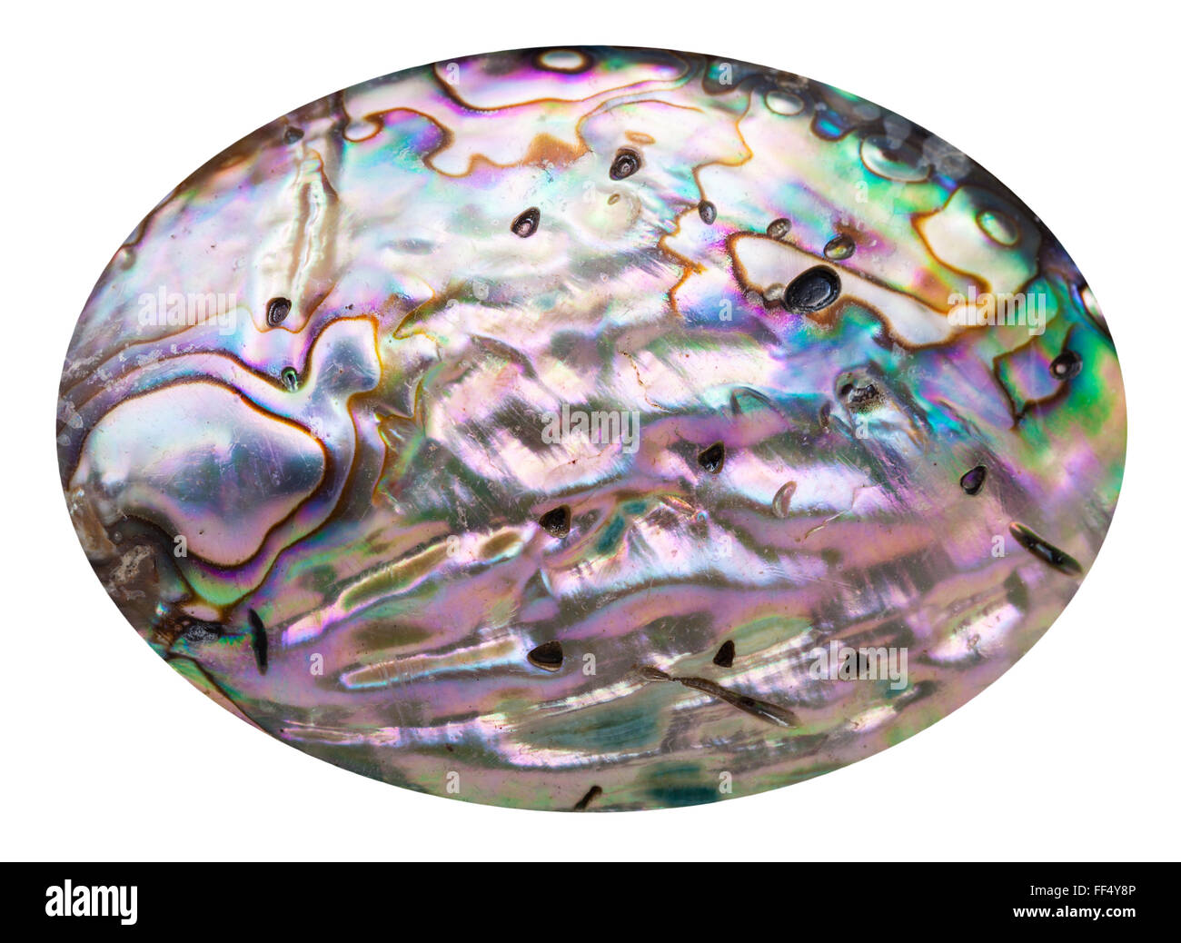 La surface polie de nacre rose coquille mollusques isolé sur fond blanc Banque D'Images