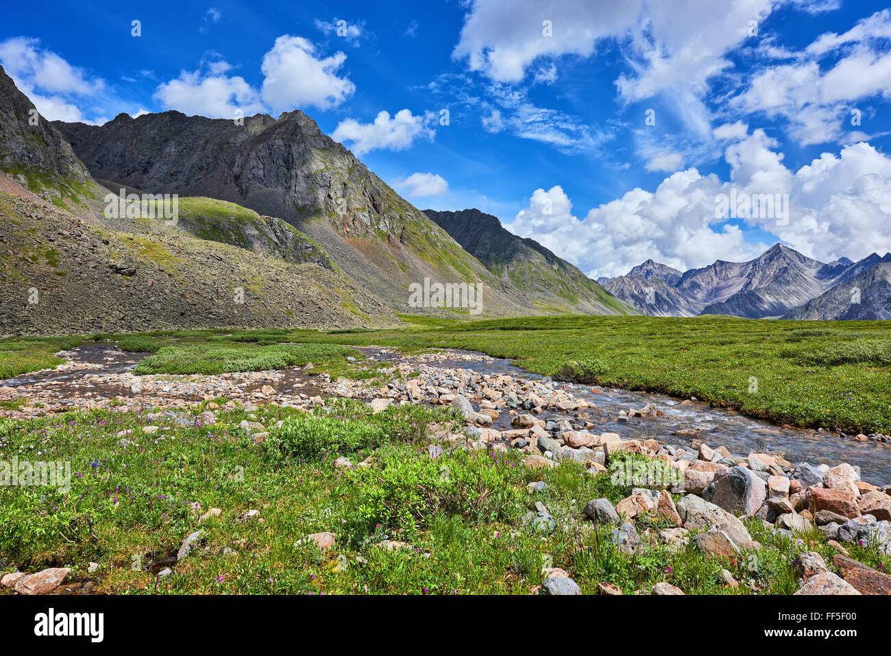 Nature primordiale de la Sibérie orientale . Stream et mountain meadow journée d'été . Sayan de l'Est . La Bouriatie Banque D'Images