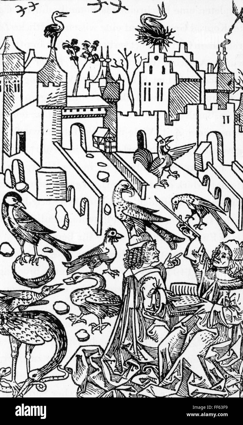 Pédagogie, école / leçons / discipline, leçons de zoologie, coupe de bois, 1491, droits additionnels-Clearences-non disponible Banque D'Images