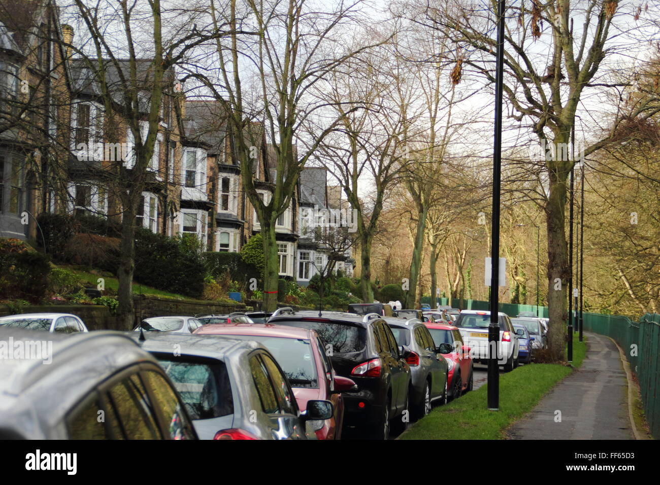 Bruissements d'arbres surplombant la route Endcliffe Park (r) dans la région de Sheffield, South Yorkshire, UK Banque D'Images