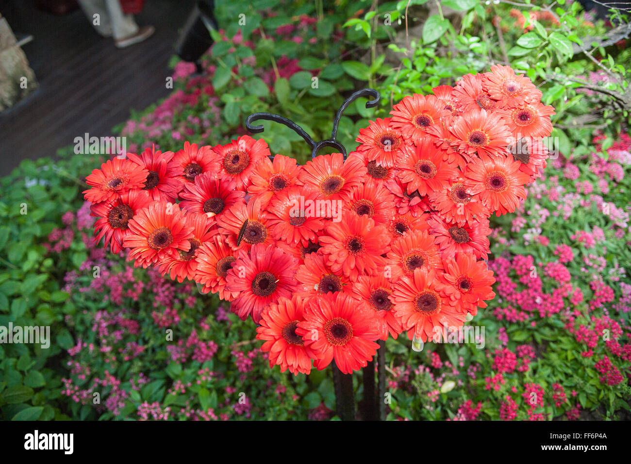 Les papillons,Papillon,sur,design,papillon,en,détente,apaisante,bâtiment,espace,la borne,jardin de papillons.L'aéroport de Changi à Singapour,Asie,Asie,, Banque D'Images