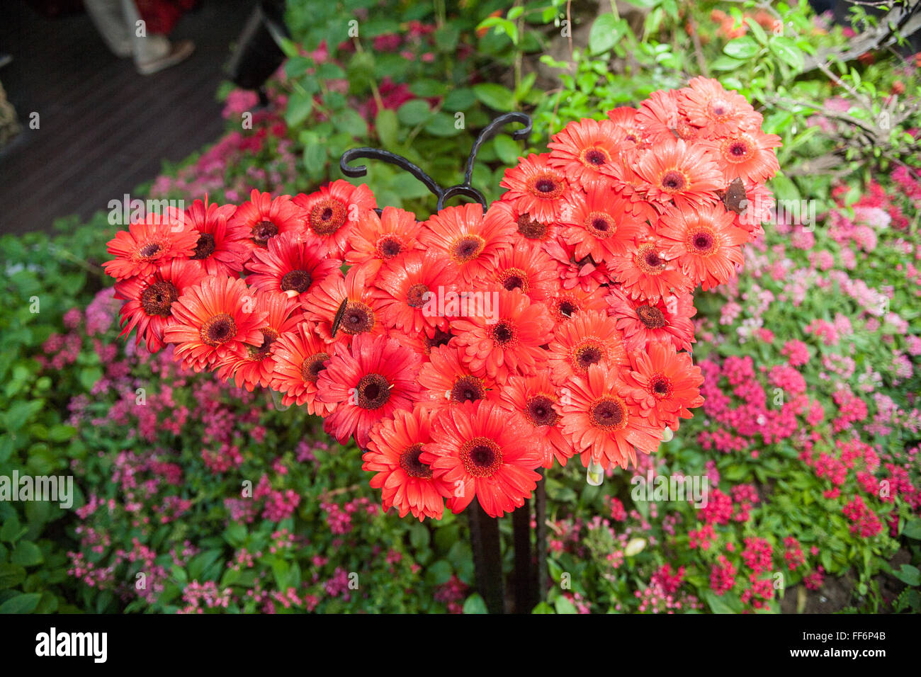 Les papillons,Papillon,sur,design,papillon,en,détente,apaisante,bâtiment,espace,la borne,jardin de papillons.L'aéroport de Changi à Singapour,Asie,Asie,, Banque D'Images
